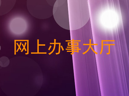 网上办事大厅