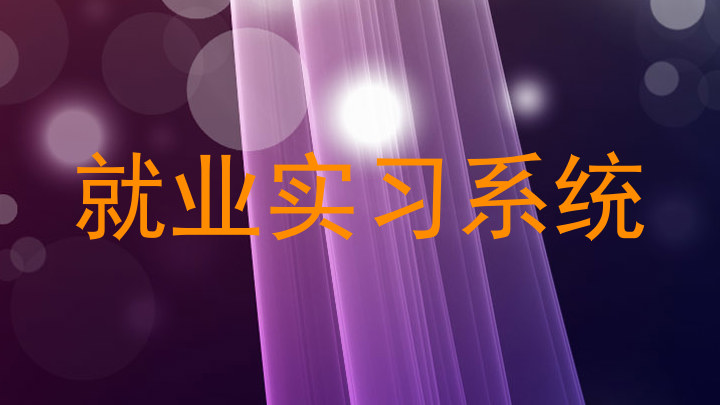 就业实习系统