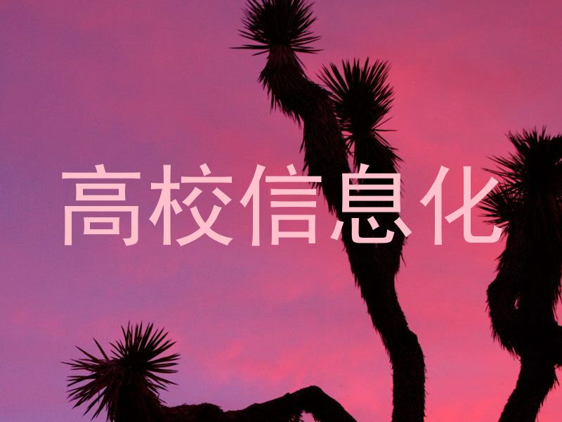 高校信息化
