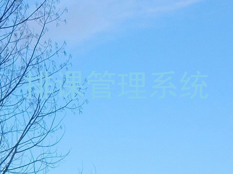 排课管理系统