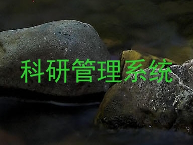 科研管理系统