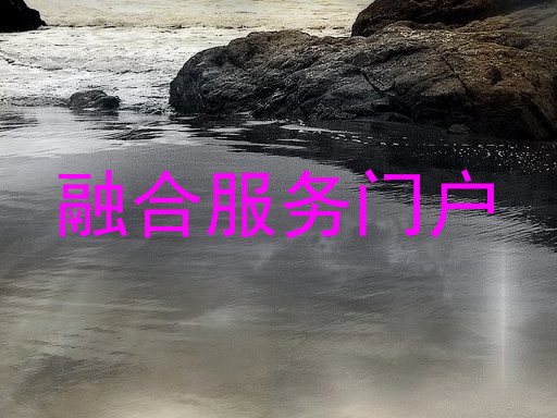 融合服务门户