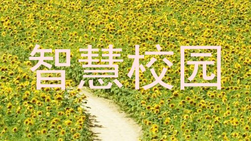 智慧校园