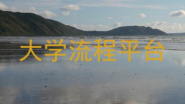 大学流程平台