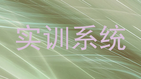 实训系统
