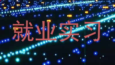 就业实习