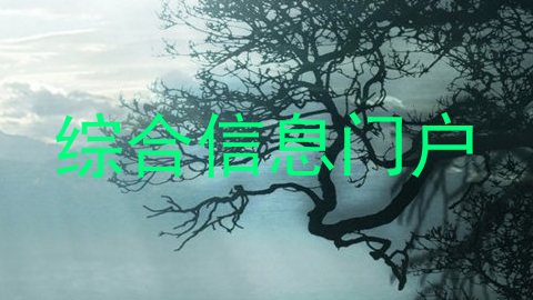 综合信息门户