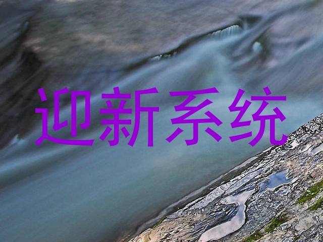 迎新系统
