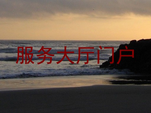 服务大厅门户