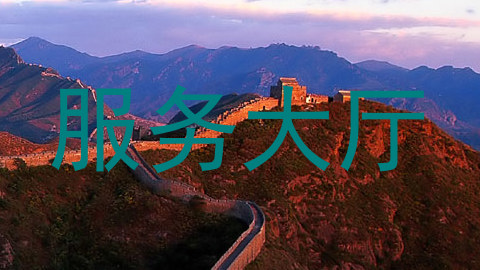 服务大厅