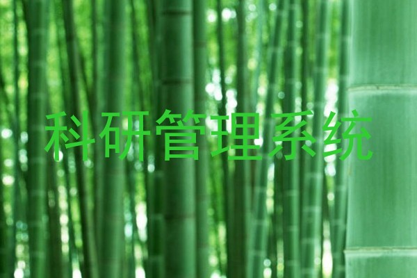 科研管理系统