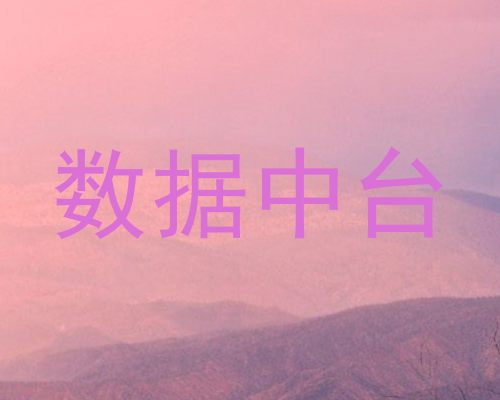 数据中台