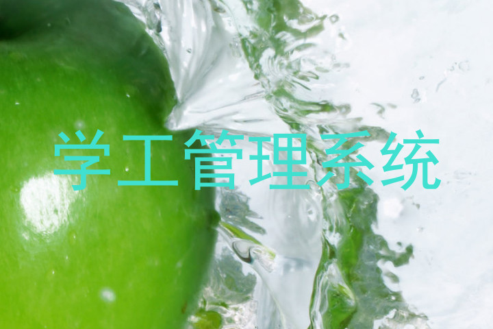 学工管理系统