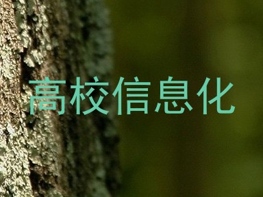 高校信息化