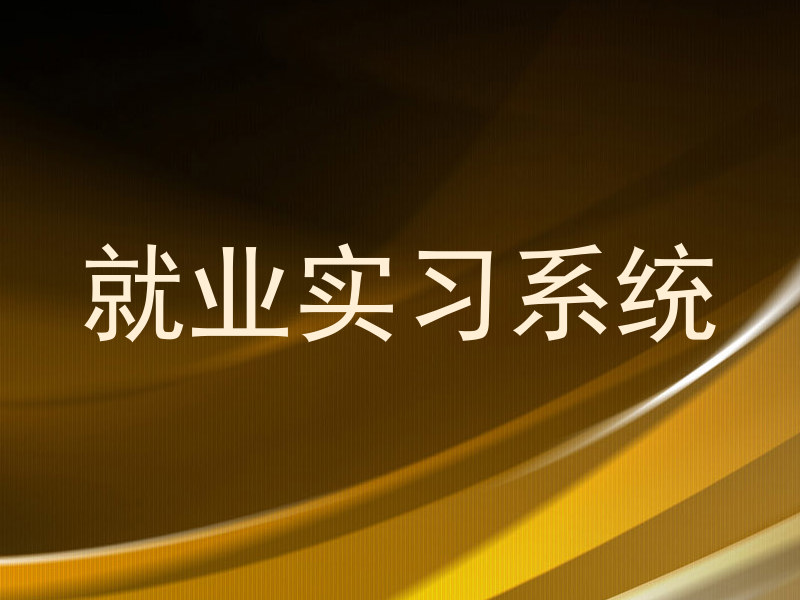 就业实习系统