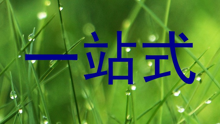 一站式