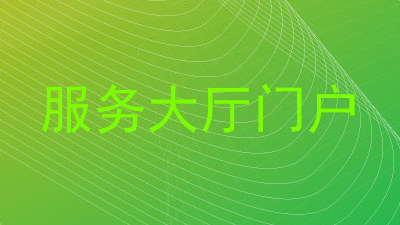 服务大厅门户