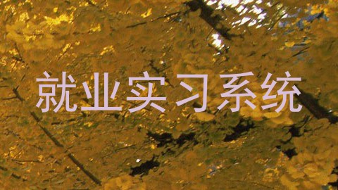 就业实习系统