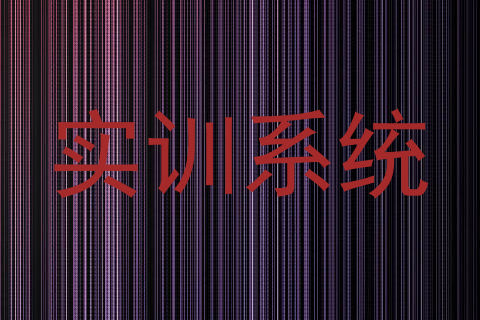 实训系统
