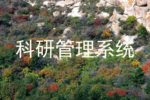 科研管理系统