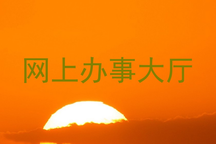 网上办事大厅
