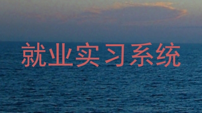 就业实习系统