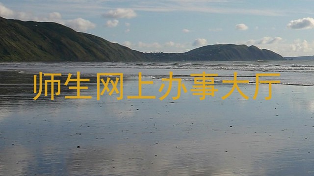 师生网上办事大厅