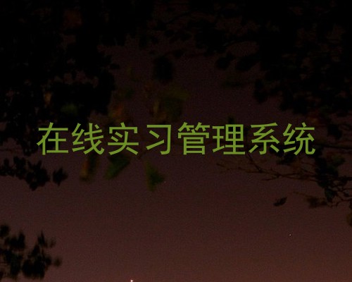 在线实习管理系统
