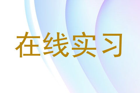 在线实习