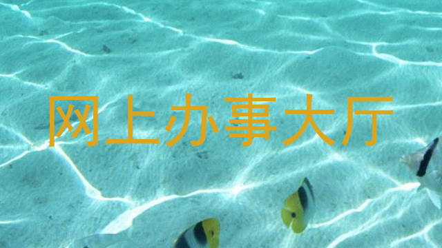 网上办事大厅