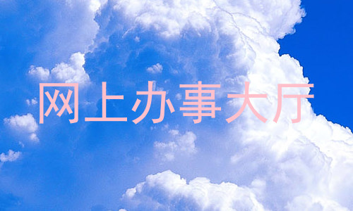 网上办事大厅