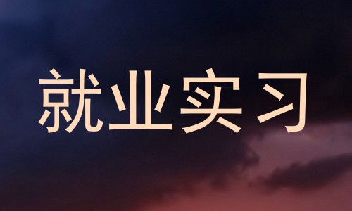 就业实习