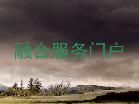融合服务门户