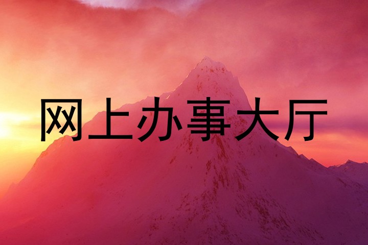 网上办事大厅