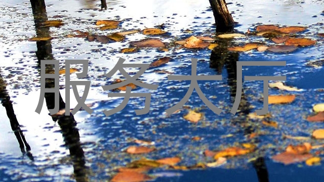 服务大厅