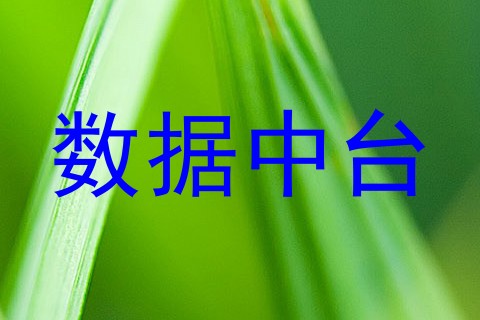 数据中台