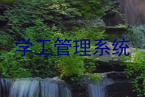 学工管理系统
