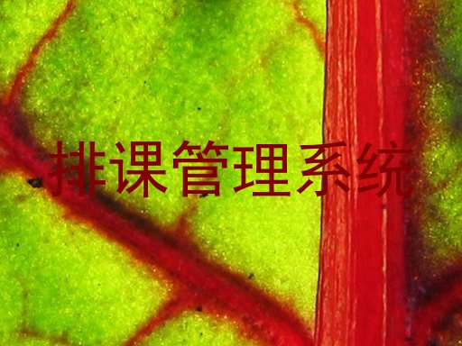 排课管理系统