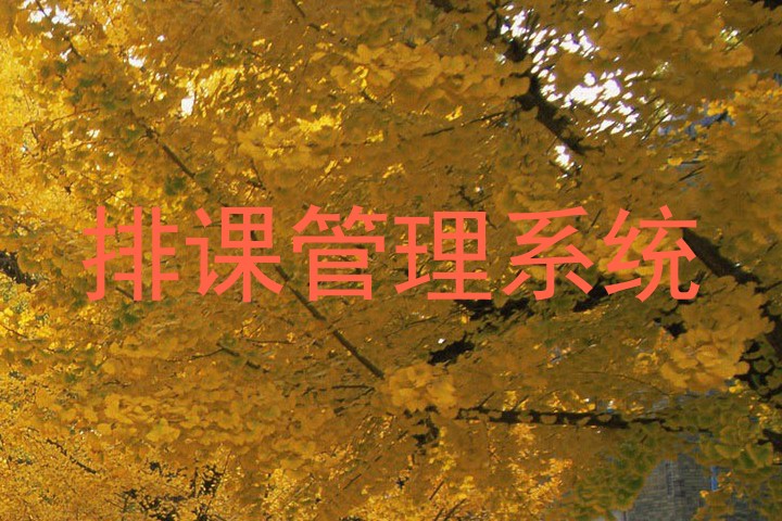 排课管理系统