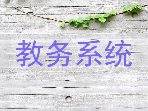 教务系统