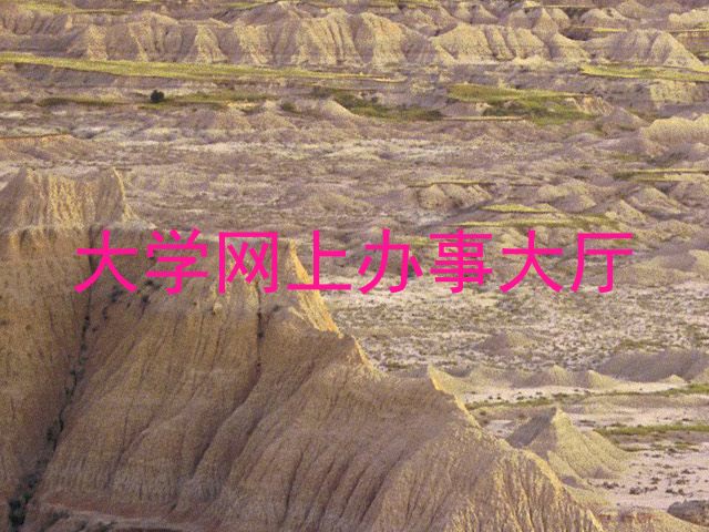大学网上办事大厅