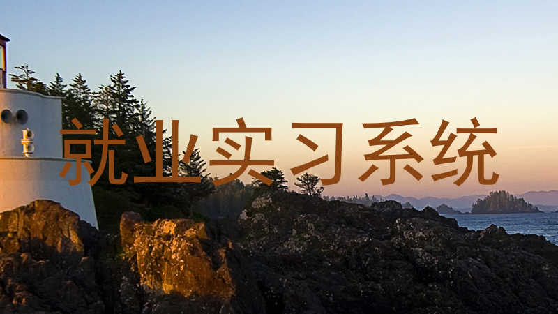 就业实习系统