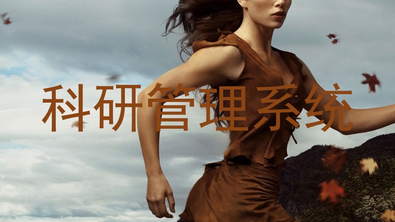 科研管理系统