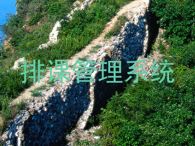 排课管理系统