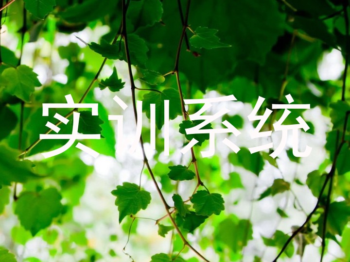 实训系统