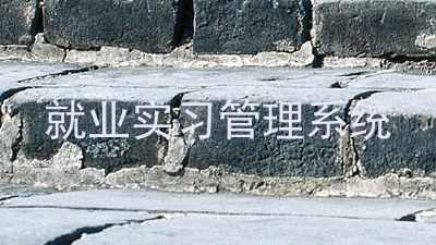 就业实习管理系统