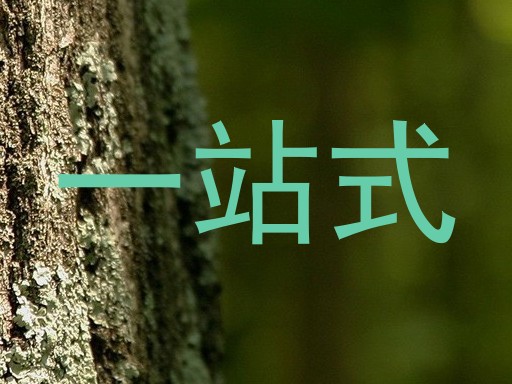 一站式