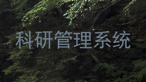 科研管理系统