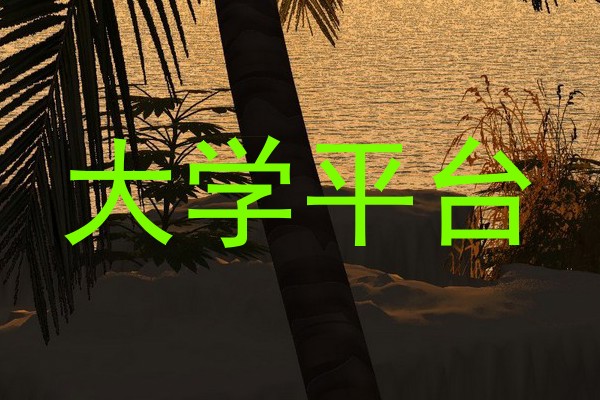 大学平台