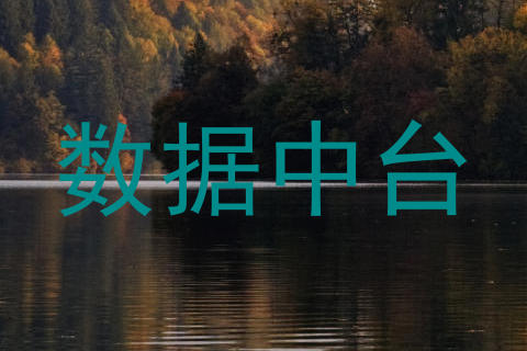 数据中台